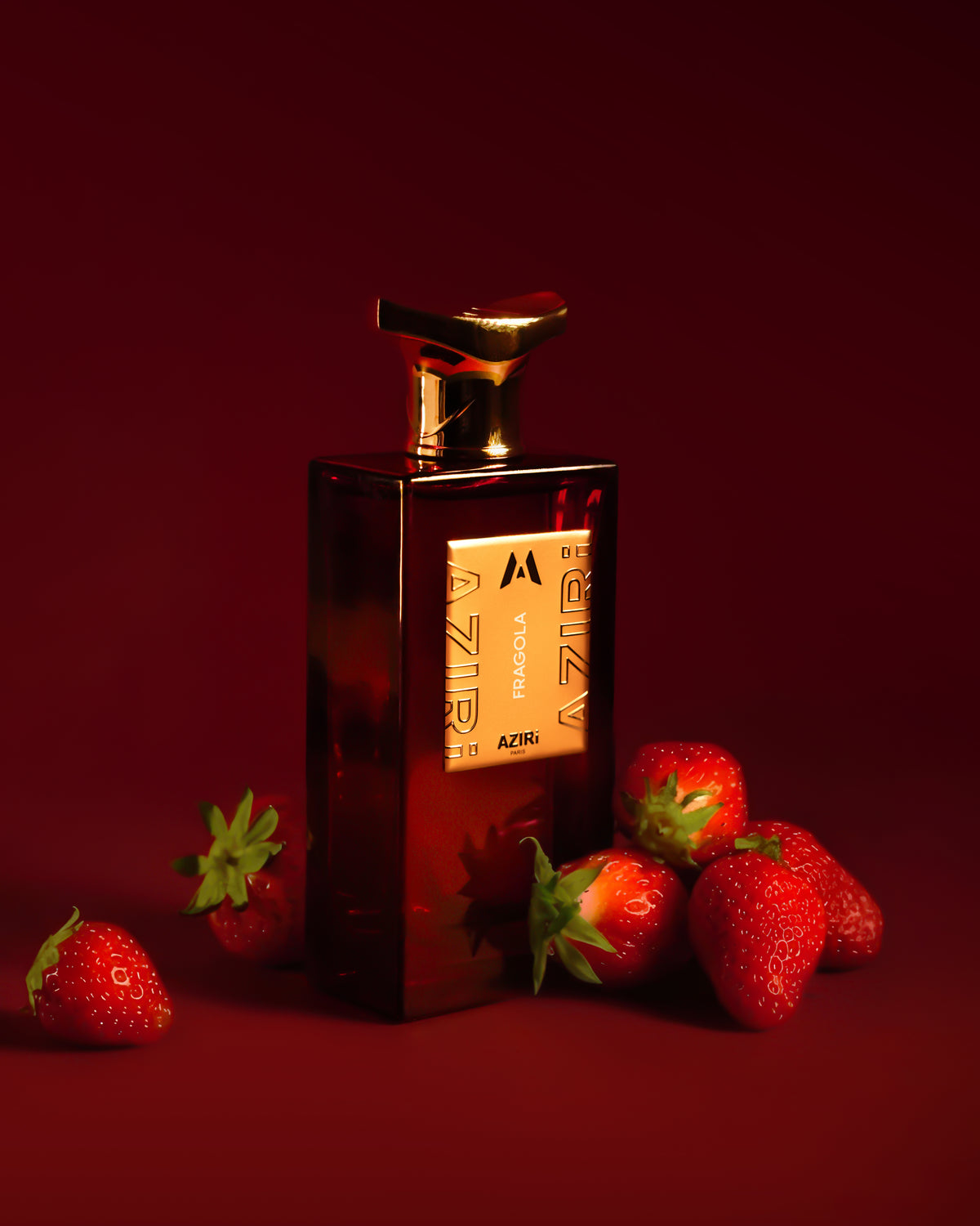 FRAGOLA